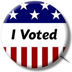 I voted