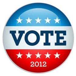 Vote badge